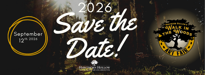 Walk in the woods art fair banner 2021